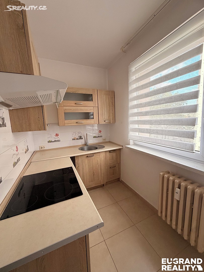 Pronájem bytu 1+1 36 m²